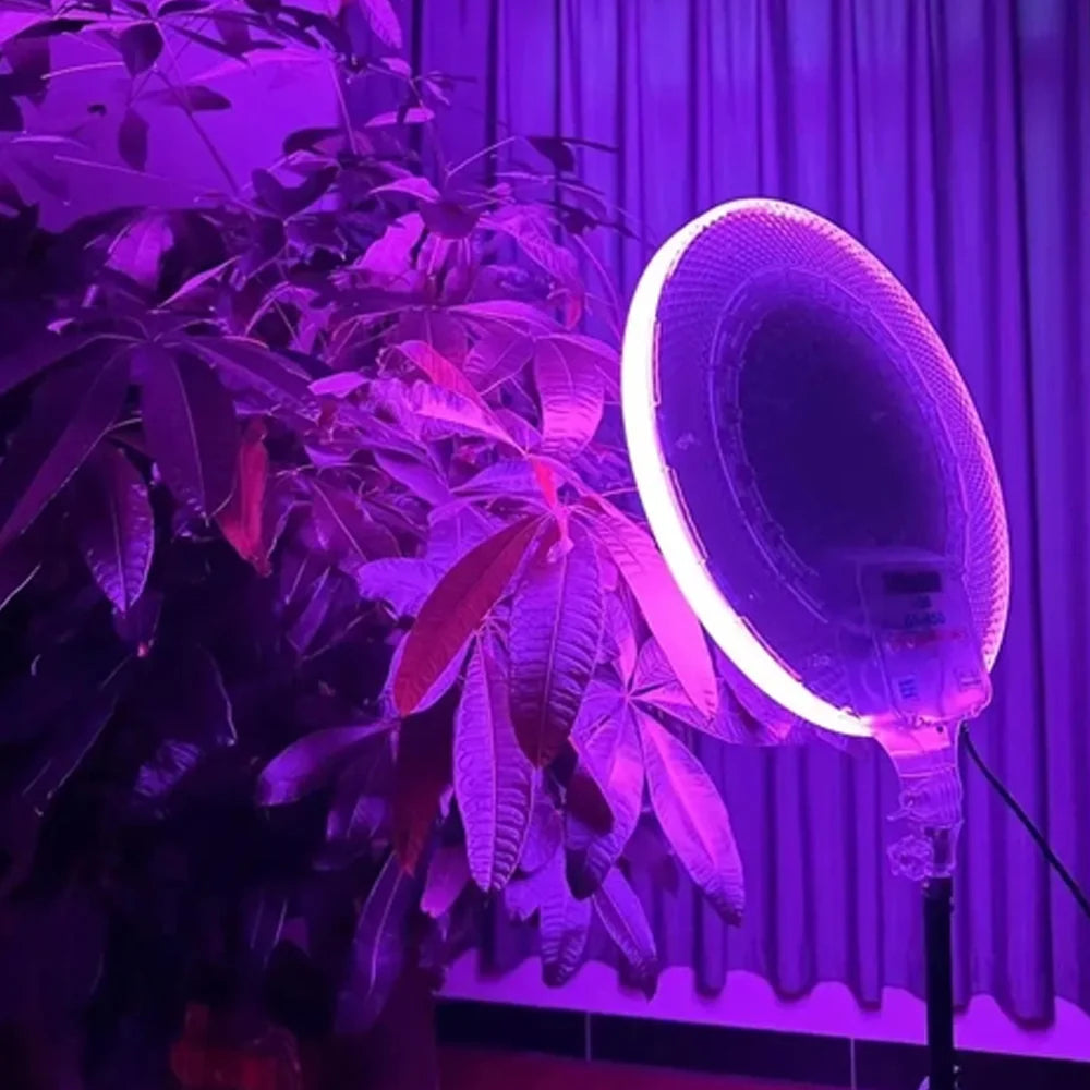 LED Fill Light RGB LED Fill Light RGB